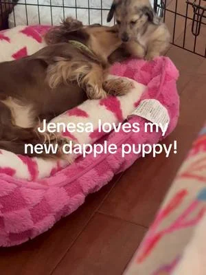Jenesa loves the baby